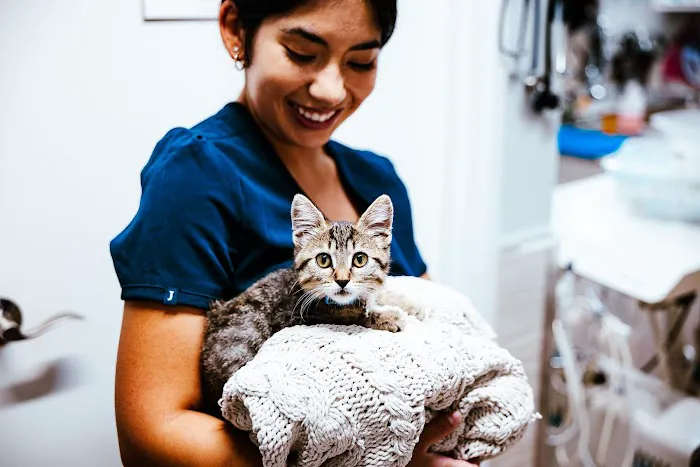 Imperial Animal Hospital Picture 3