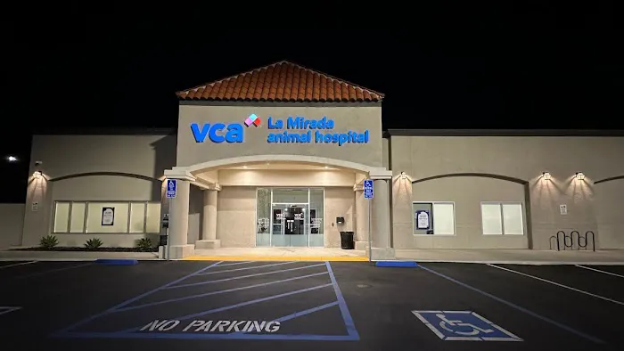 VCA La Mirada Animal Hospital Picture 3