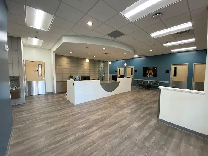 VCA La Mirada Animal Hospital Picture 9