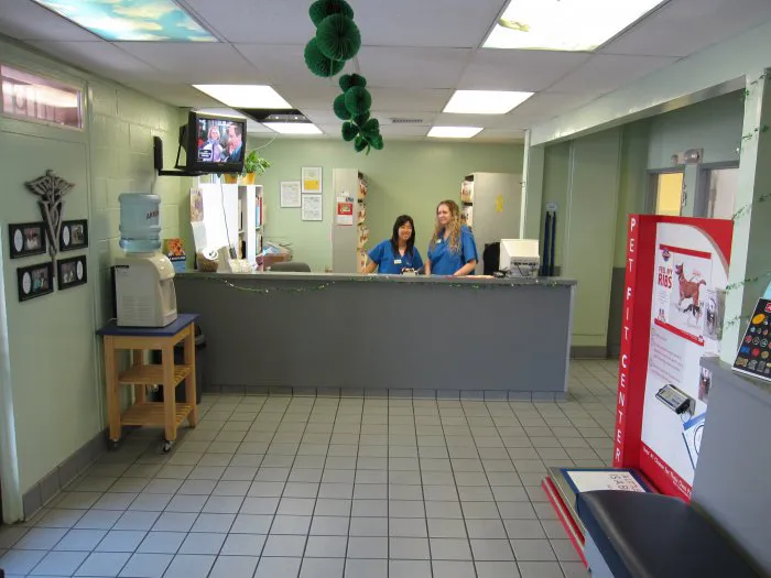 VCA La Mirada Animal Hospital Picture 4