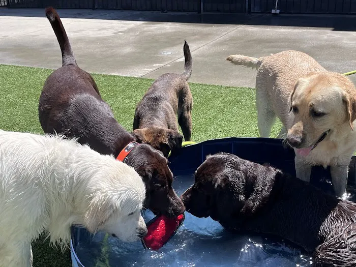 VCA La Mirada Animal Hospital Picture 5