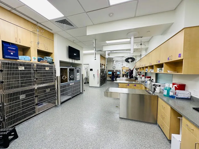 VCA La Mirada Animal Hospital Picture 10