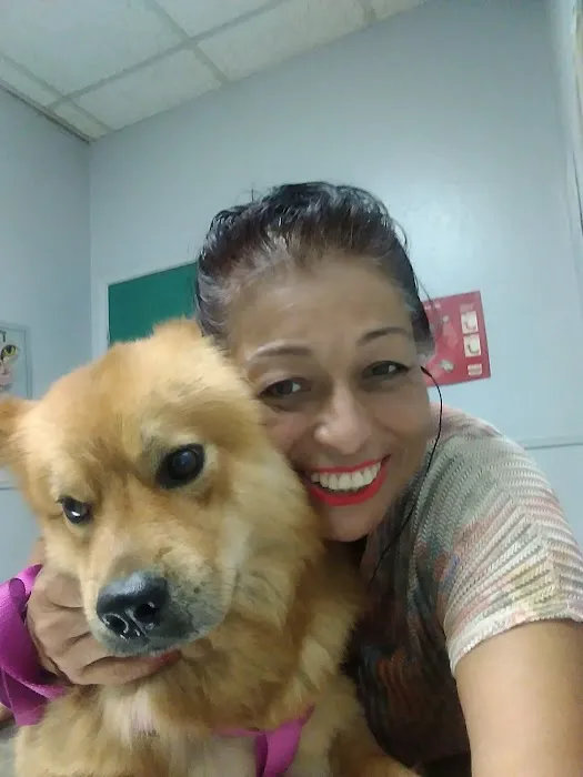 La Mirada Animal Health Center Picture 5