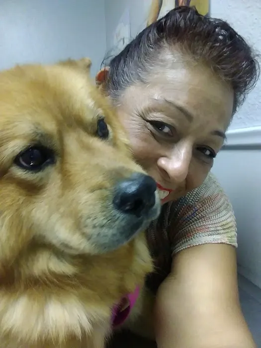 La Mirada Animal Health Center Picture 7
