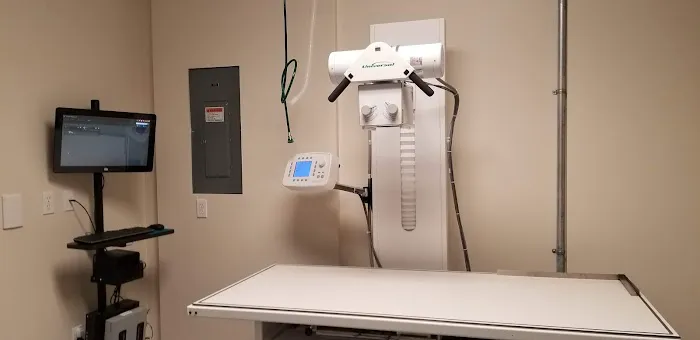 Ally Pet Medical Center Picture 9