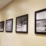Ally Pet Medical Center