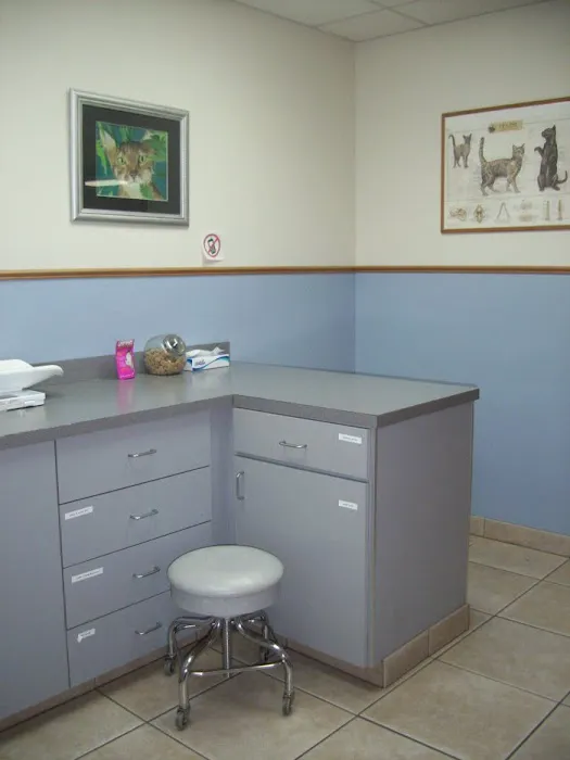 VCA Pine Lake Animal Hospital Picture 7