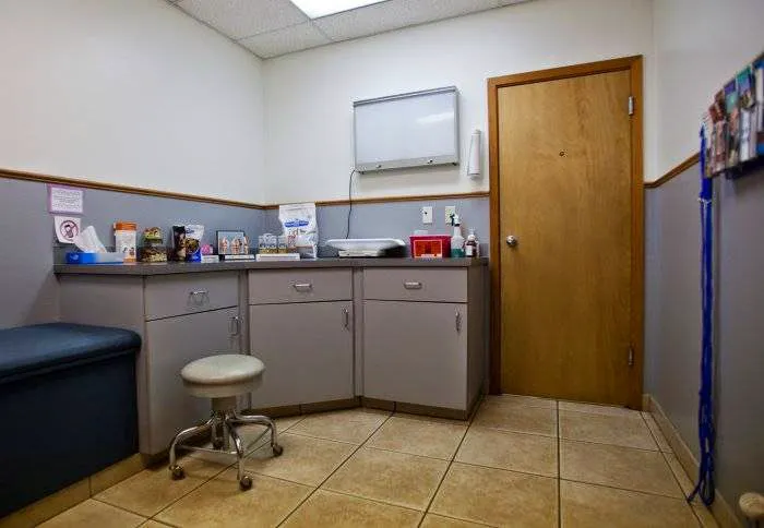 VCA Pine Lake Animal Hospital Picture 6