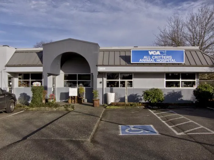 VCA Pine Lake Animal Hospital Picture 4