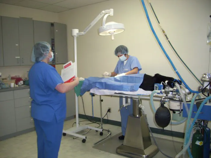 VCA Pine Lake Animal Hospital Picture 3