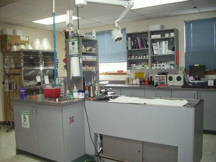 VCA Pine Lake Animal Hospital Picture 1