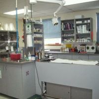 VCA Pine Lake Animal Hospital ico