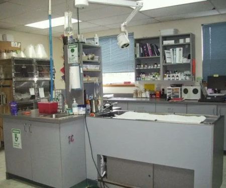 VCA Pine Lake Animal Hospital