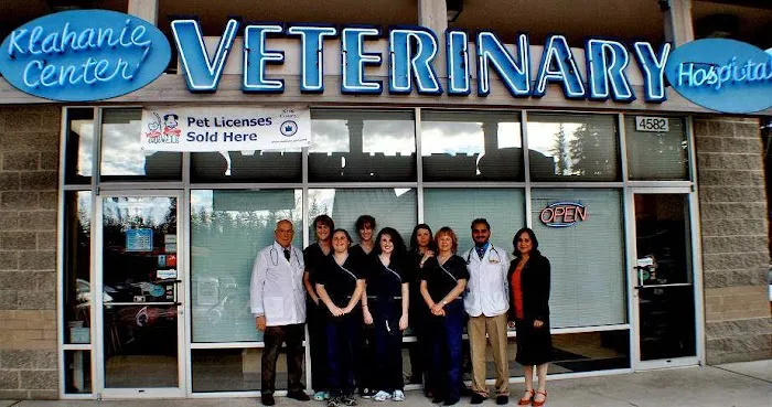 Klahanie Center Veterinary Hospital Picture 7