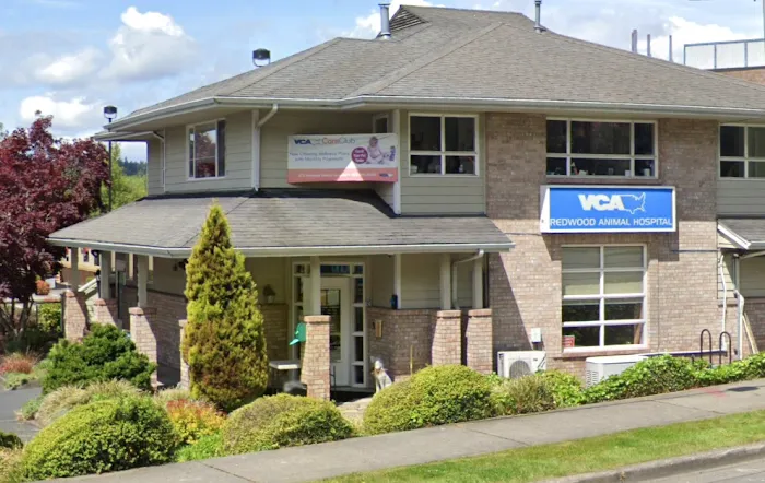 VCA Redwood Animal Hospital Picture 9