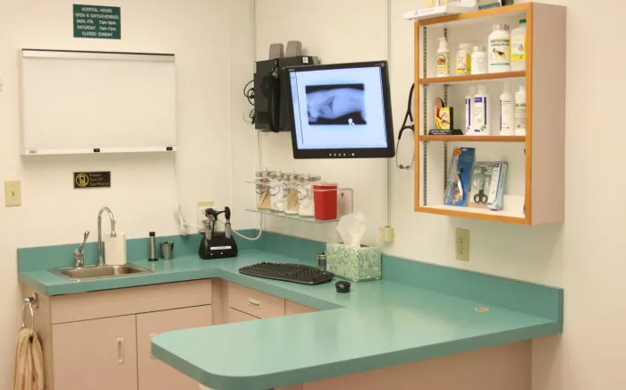 VCA Redwood Animal Hospital Picture 3