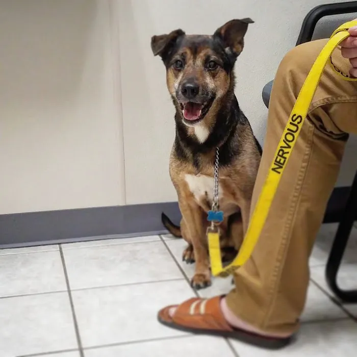 VCA Redwood Animal Hospital Picture 2