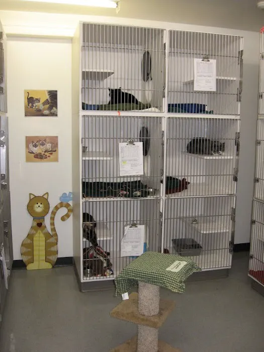 VCA Redmond Animal Hospital Picture 8