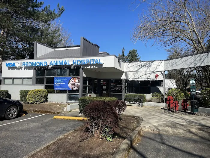 VCA Redmond Animal Hospital Picture 10