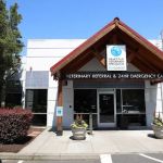 BluePearl Pet Hospital Kirkland