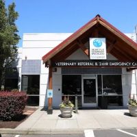 BluePearl Pet Hospital Kirkland ico
