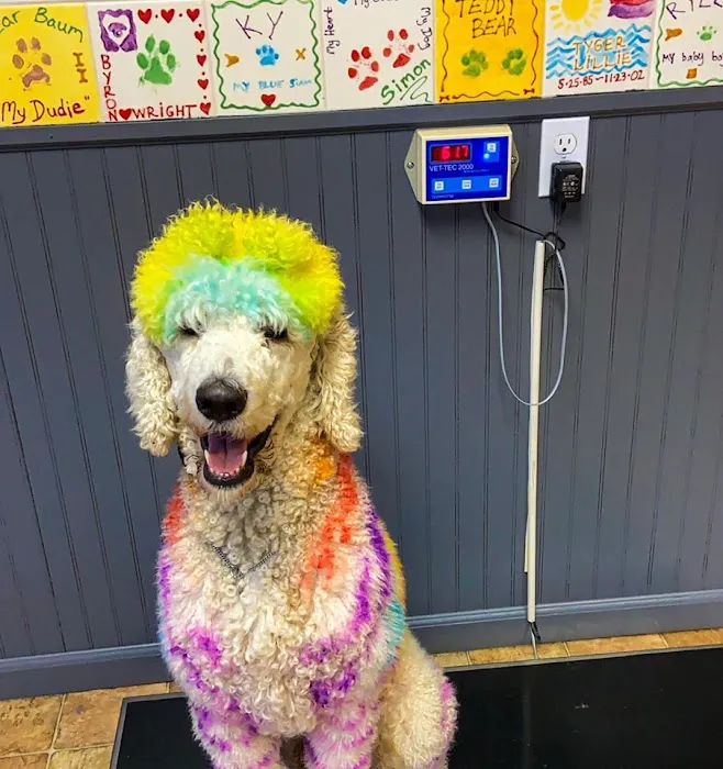 Critter Doctor Animal Hospital is Now BoosterPet - Kirkland Picture 9