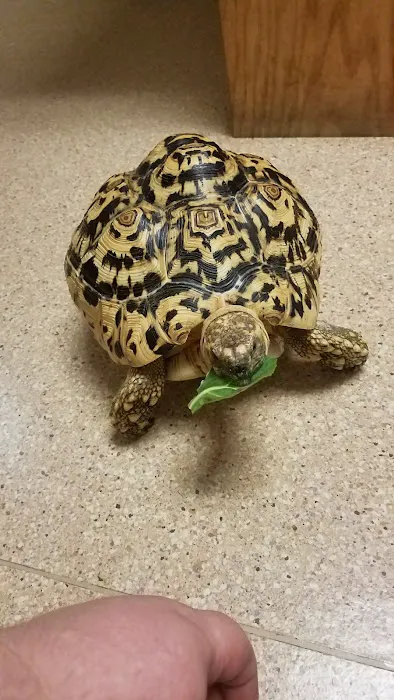Evergreen Avian and Exotic Animal Hospital Picture 4