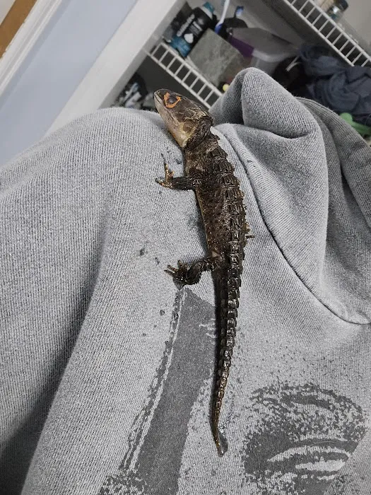 Evergreen Avian and Exotic Animal Hospital Picture 10