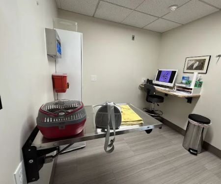 Evergreen Avian and Exotic Animal Hospital