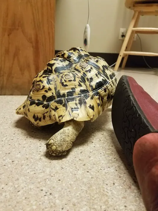 Evergreen Avian and Exotic Animal Hospital Picture 6