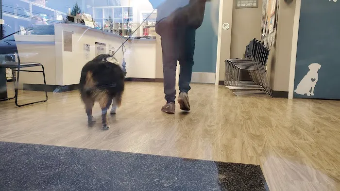 Lake Meridian Animal Hospital Picture 2