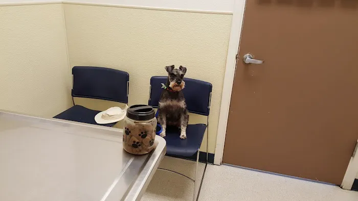 Lake Meridian Animal Hospital Picture 5