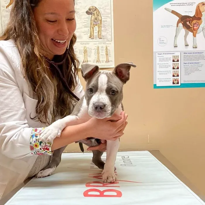 Reber Ranch Veterinary Hospital Picture 6