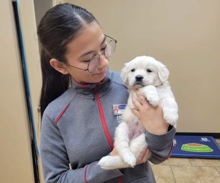 Reber Ranch Veterinary Hospital