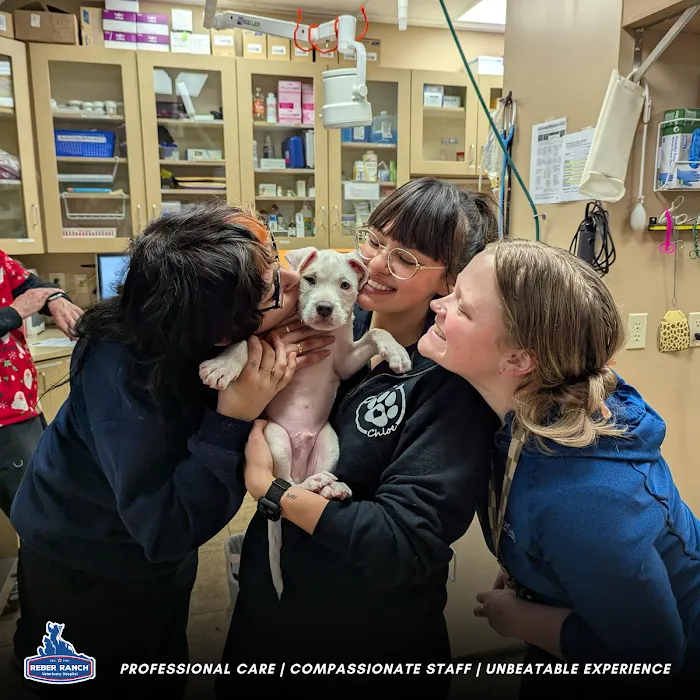Reber Ranch Veterinary Hospital Picture 10