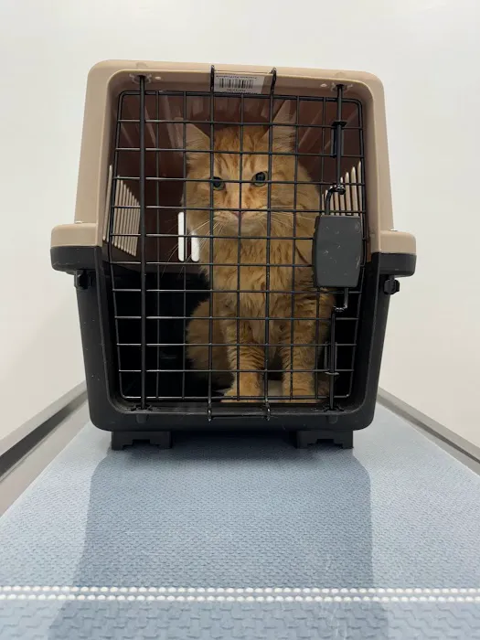 Green River Veterinary Hospital Picture 2