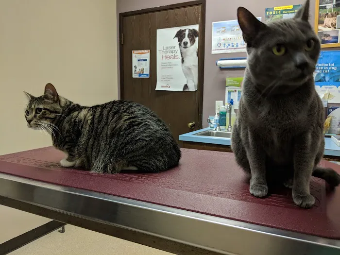 Green River Veterinary Hospital Picture 6