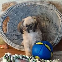 Green River Veterinary Hospital ico