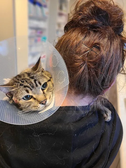 Mountainside Animal Hospital Picture 6