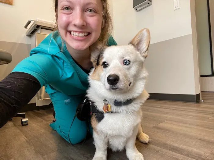 Mountainside Animal Hospital Picture 7