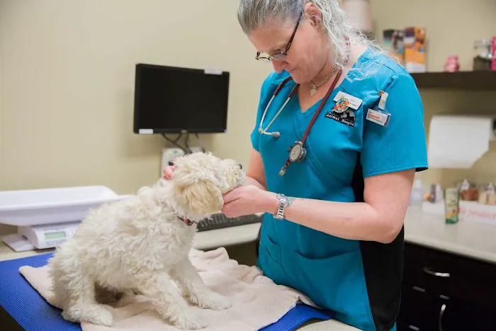 Wilderness Animal Hospital Picture 7