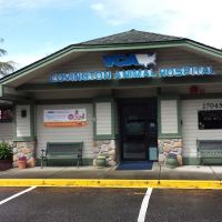 VCA Covington Animal Hospital ico
