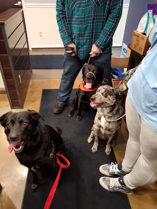 VCA Covington Animal Hospital Picture 4