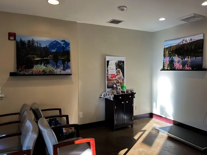 VCA Covington Animal Hospital Picture 10