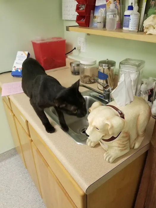 Sawyer Lake Veterinary Hospital Picture 2