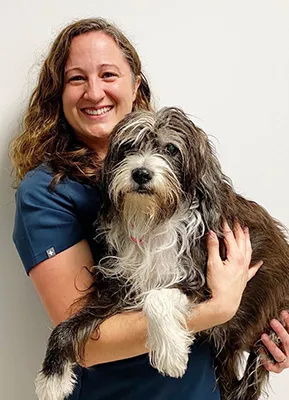 Animal Surgical & Dental Clinic Picture 7