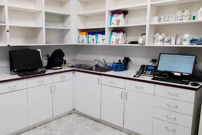 Animal Surgical & Dental Clinic Picture 6