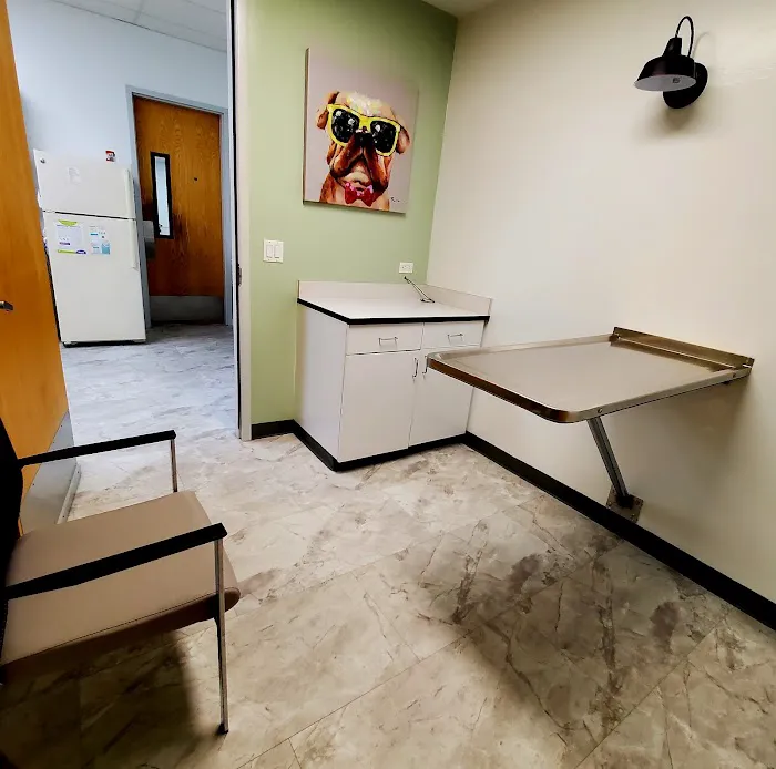 Animal Surgical & Dental Clinic Picture 2