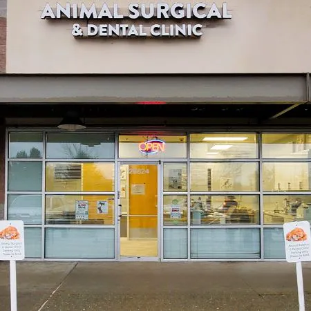Animal Surgical & Dental Clinic Picture 8