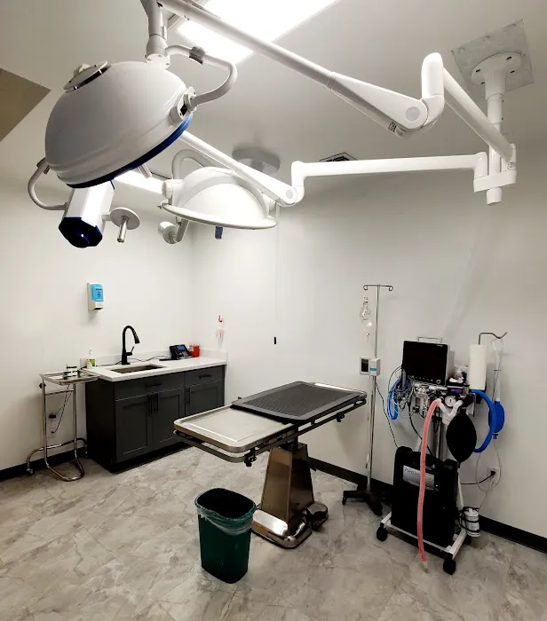 Animal Surgical & Dental Clinic Picture 10